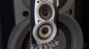 Колонки Technics SB-DV250