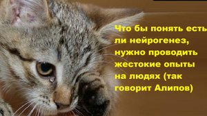 Что бы понять есть ли нейрогенез, нужно проводить жестокие опыты на людях (так говорит Алипов)