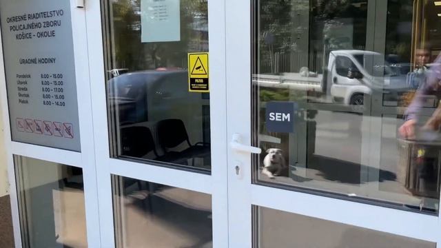 Как купить авто в Словакии? Пошаговое руководство смотреть онлайн