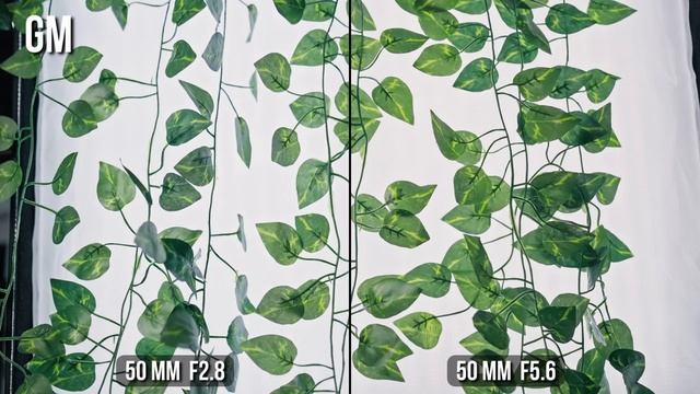 ДОЛГОЖДАННЫЙ | SONY FE 24 70 F2.8 GM II смотреть онлайн