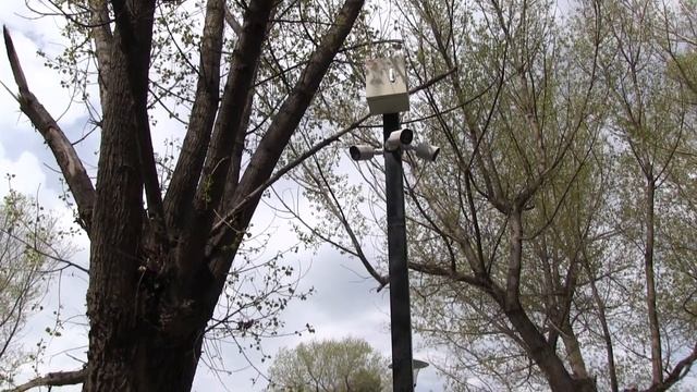 Камеры наблюдения установили в парке отдыха города.Քա смотреть онлайн