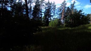 КУПИЛ КВАРТИРУ НЕДВИЖИМОСТЬ