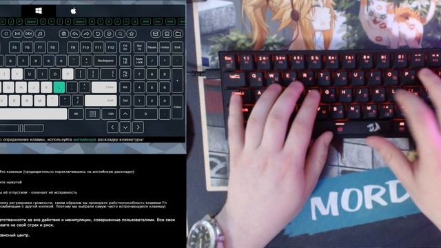 Тест клавиатуры Redragon Anivia + Redragon Black low-profile смотреть онлайн