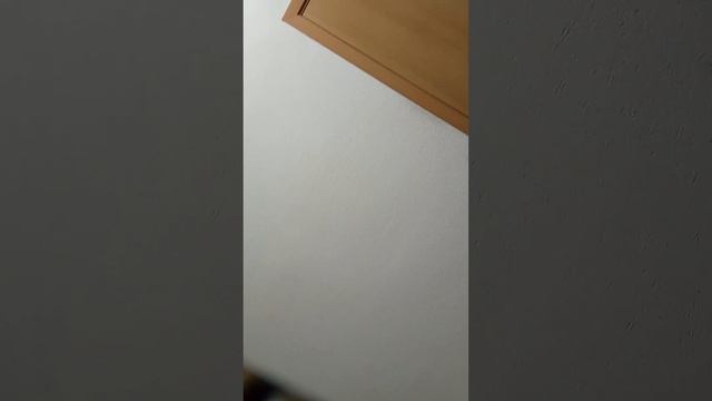 по судебной неустойке с администрацией Волгограда. во смотреть онлайн