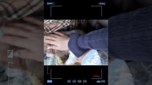 Новости о BTS 26.05.2025г