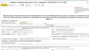 Регистрационный номер в СФР в 1С Бухгалтерия 8