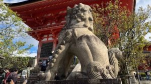 Япония: Токио, Киото. Это другой мир!