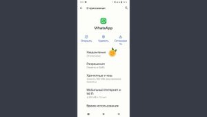 Исправить вызов WhatsApp, не отображаемый на экране блоки?