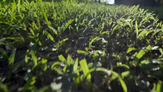 Лучшие ВНЕШНИЕ АККУМУЛЯТОРЫ с АлиЭкспресс: ТОП-5 Power BANK смотреть онлайн