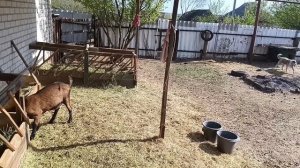 Дружковка 25 апреля 2025 г. ✈️ Жарко сегодня.