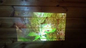 vevshao v30 нет поддержки 4k
