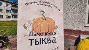 Посади тыкву