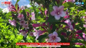 Центральная Церковь "Благодать" ЕХБ города Курска