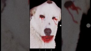 Проверяем вирусы с тг на виртуальной машине.