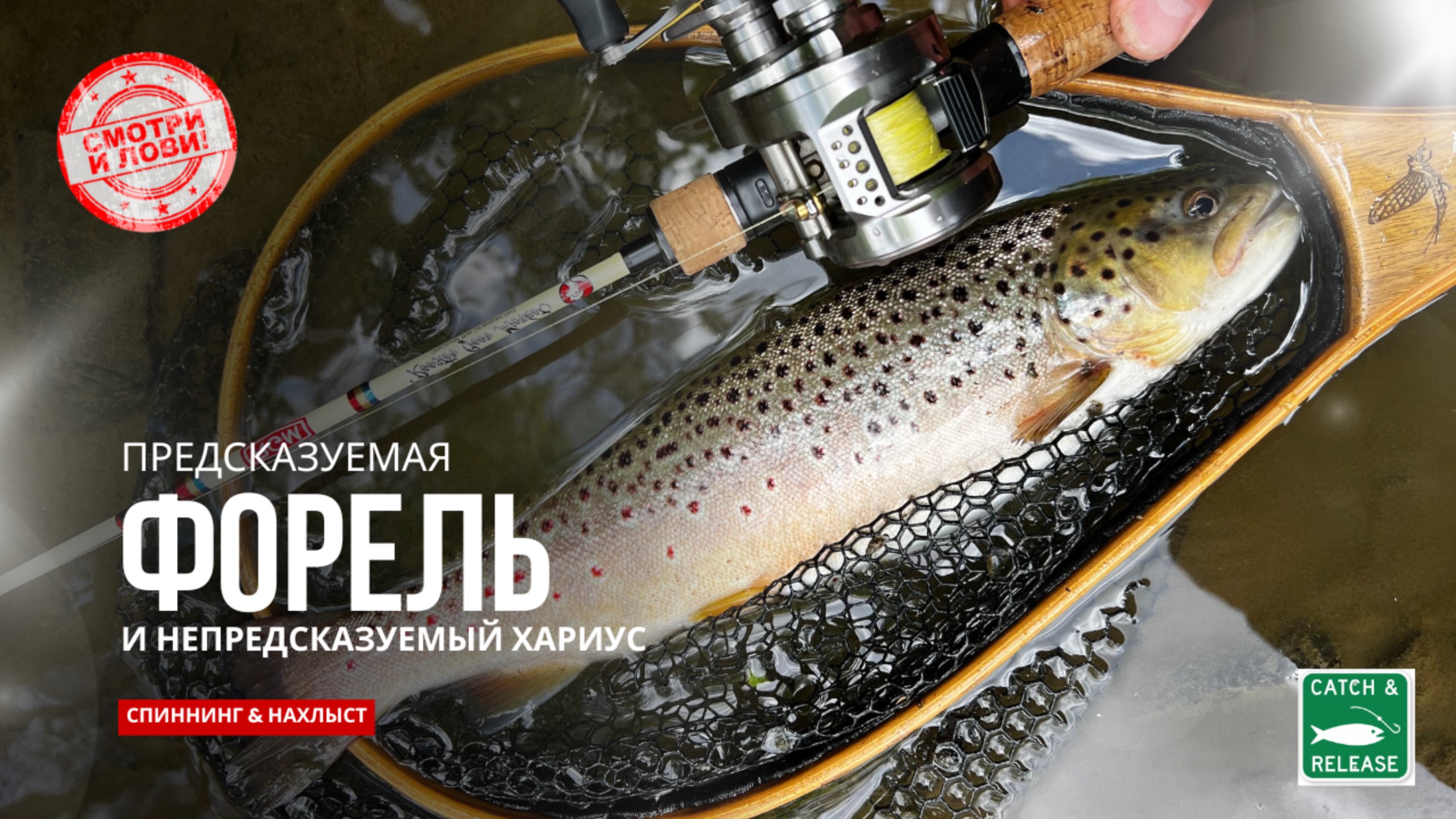 Форель и Хариус на Малой Реке! Ультралайт Спиннинг и Нахлыст в Поисках Активной Рыбы #форель