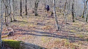 Гора Арарат  Хутор Бетта  Прогулки с Утиными историями