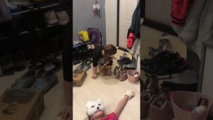 Фильм про «квадро-вирус»😸