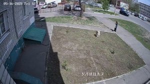 Обосралипсис - как достали уже....