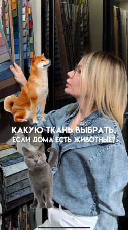 🔥 "Мебель и питомцы: как выбрать идеальную ткань, если дома есть животные?" #мебельдляспальни