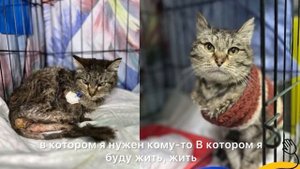 Добро — это не волшебство. Это действие!