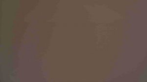 Redmi note 8 Нет сети/Нет прошивки модуля связи