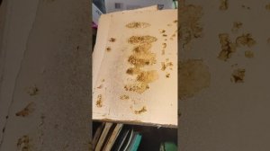 Заставная из пеноплекса для пчел