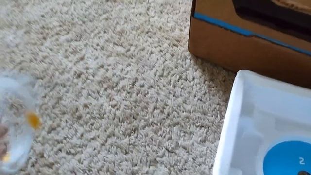 США / ПРОВЕЛА МУЖА В РЕЙС / ОСТАЛАСЬ ДОМА ПОДКЛЮЧАТЬ ИН? смотреть онлайн