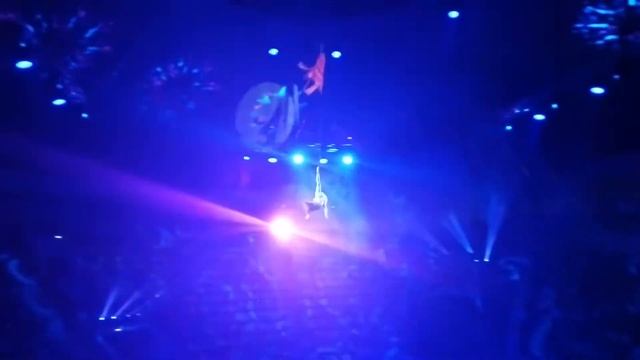 Воздушная гимнастика на ремнях смотреть онлайн