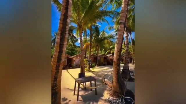 ПОСЛЕ БАНКРОТСТВА, НОВАЯ ЖИЗНЬ! смотреть онлайн