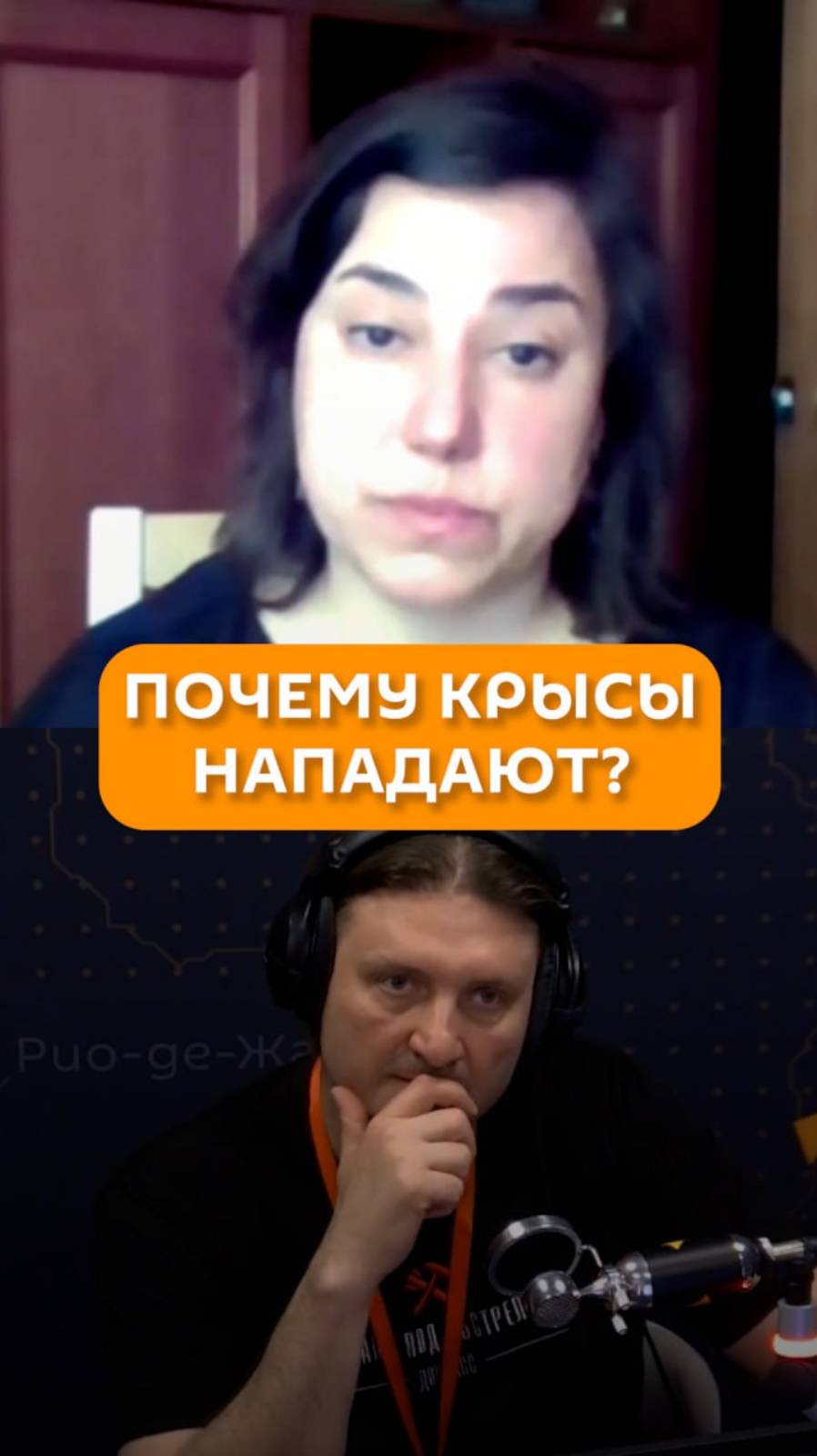 Почему крысы нападают?