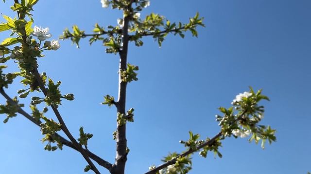 178 % Профита к даче смотреть онлайн