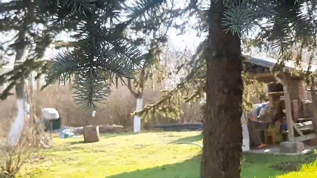 ВЕСНА нас радует!🤗🌞/ОБЗОР участка в апреле/Курочек пересилили,кусты обрезали!🌳🌼#влогдомохозяйки