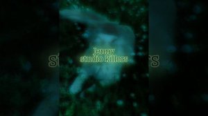 Jenny | studio killers (x1.2)
