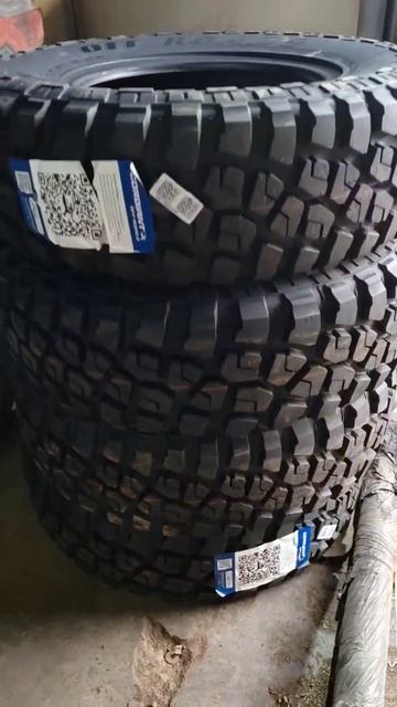 20 июня 2024 г. смотреть онлайн