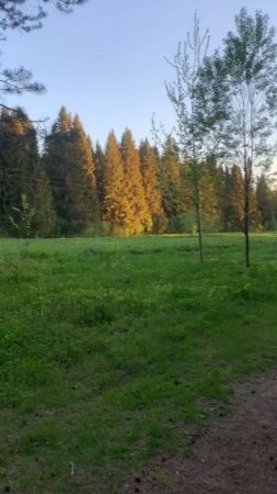 Walking through the beautiful village: благоприятная погода