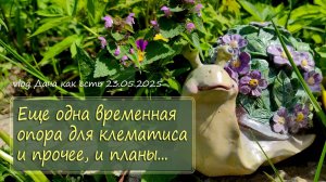 Очередная временная опора для молодого клематиса и прочее / vlog дача как есть 23.05.2025