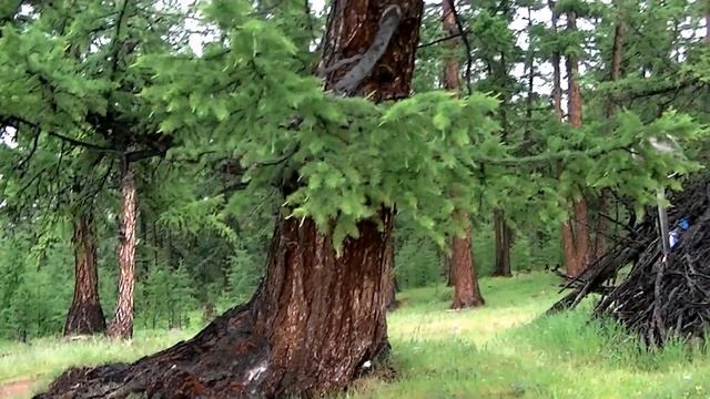 Монголия 2018. Из Якутска в пустыню Гоби. Часть 2. смотреть онлайн