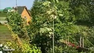 Купель - Источник Святого Пантелеймона в Дивеево