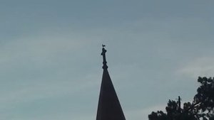 Vietnam, Dalat, interesting dome at the church - Вьетнам, Далат, церковь с петухом