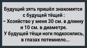 Как Мужик Напугал Будущую Тещу! Сборник свежих Анекдотов! Юмор!