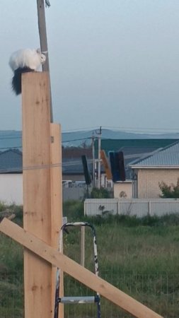 Матильда обожает высоту