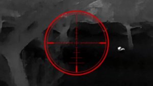 Псп охота на зайца промах