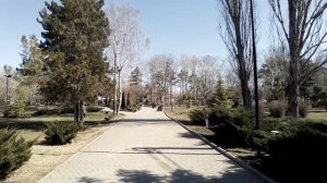 Празднуем 8-ое марта / Катаемся на всяком / Утопил телефон