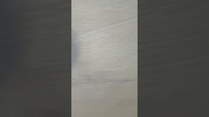 руль Gc-w750 тутор как  подключить к пк