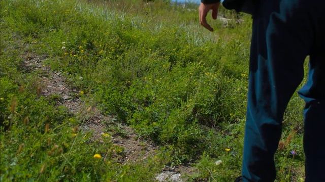 Жизнь в деревни Собираю траву, Canon 650d kit 18-55mm смотреть онлайн