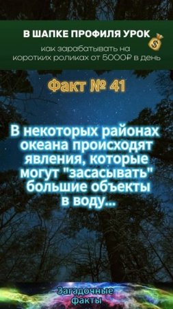 факт (2)