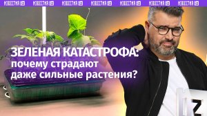 Как защитить зеленых любимчиков? «Знаете ли вы, что?»: ваши растения мучаются от ожогов