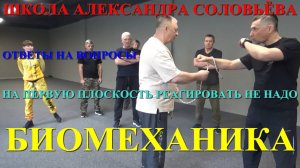 ОТВЕТЫ НА ВОПРОСЫ ( про верёвки , плоскости ... ) БИОМЕХАНИКА . Семинар в  Питере . Апрель 2025 .