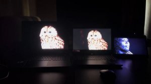 Экран ASUS ROG STRIX SCAR 18 (2025) G835LW сравнение