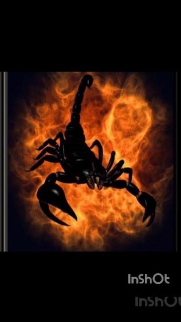 клип на 212 просмотров. смотреть онлайн